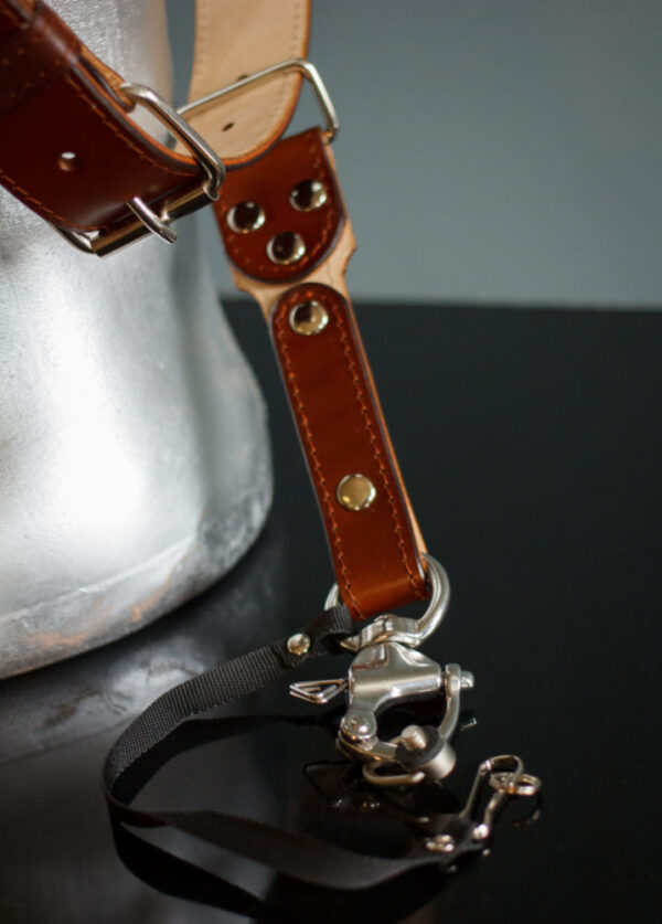 Dual camera straps