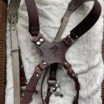 Personalized camera harness with combined strap width