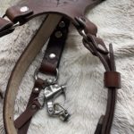 Personalized camera harness with combined strap width