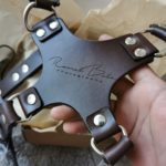 Personalized camera harness with combined strap width