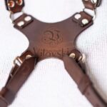 Personalized camera harness with combined strap width